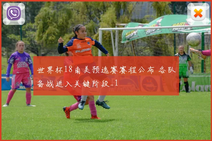 世界杯18南美预选赛赛程公布 各队备战进入关键阶段_1